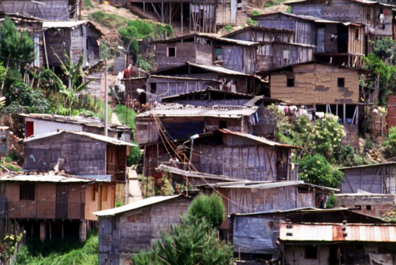 Barrios subnormales, construidos en guadua, en menos
de un mes.
Manizales, Caldas, Colombia.