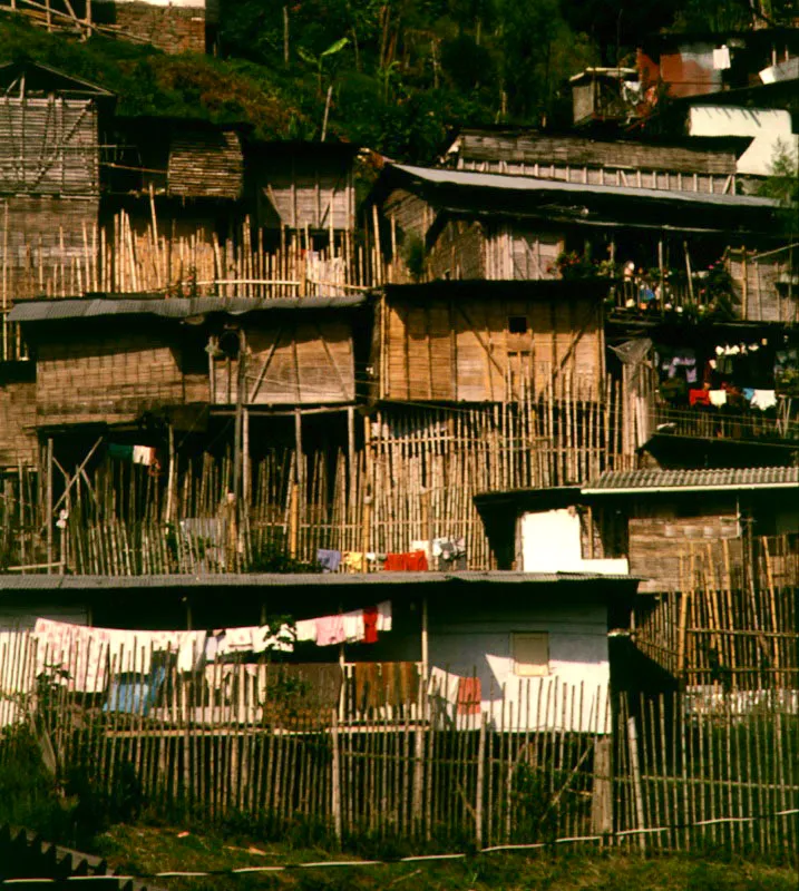 Barrios subnormales, construidos en guadua, en menos
de un mes.
Manizales, Caldas, Colombia.