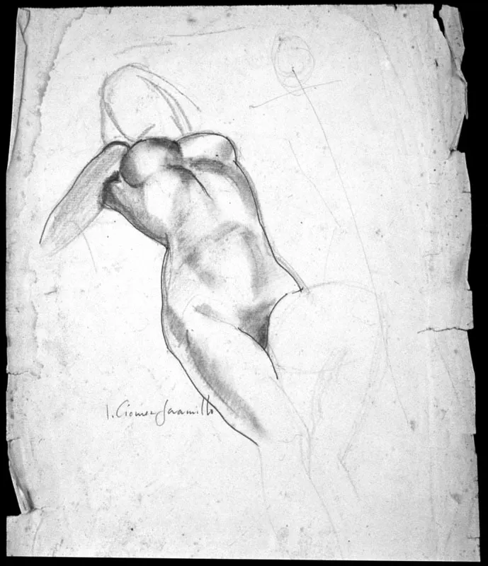 Desnudo / sf / Lápiz sobre papel / 40 x 35 cm