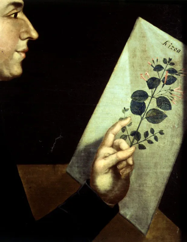 El abate Antonio José de Cavanilles, ca. 1800.
Óleo sobre lienzo, 84 x 64 cm
