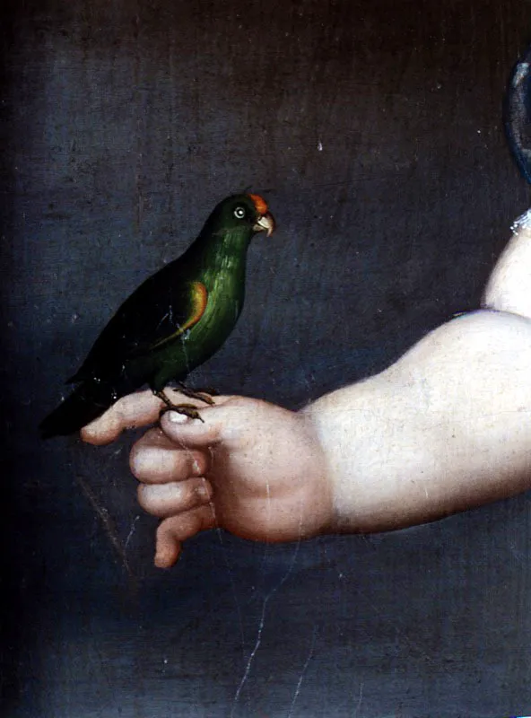 Anónimo. Rafael Pombo, ca. 1834.
Óleo sobre lienzo, 74 x 42 cm