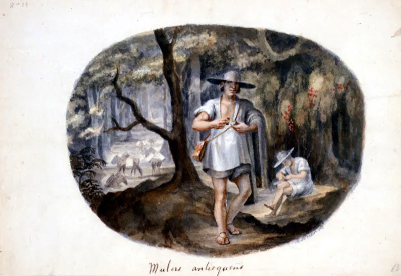 Ramón Torres Méndez. Mulero antioqueño, sf.
Acuarela sobre papel, 26,4 x 37,5 cm
La vasta producción de Ramón Torres Méndez (Bogotá, 1809 - 1885) realizó incluye miniaturas, retratos, pinturas religiosas, paisajes, grabados, alegorías. Sin embargo, hay una parte de su obra que reviste gran importancia: los cuadros de tipos y costumbres, que tienen antecedente en la Comisión Corográfica. Las imágenes de Torres Méndez, excelente observador y dibujante, son preciosos documentos sobre la historia del país en el siglo xix. Por ello durante el siglo xx su obra constituyó una de las principales fuentes de información para los estudiosos de la historia colombiana.
Mulero antioqueño, revela su pericia en el manejo de la acuarela, a la que da un grado de movilidad y transparencia exquisita. En el primer plano, Torres Méndez presenta al personaje con tal grado de soltura, que posee el carácter de una instantánea. Hacia el fondo, unas mulas cargadas atraviesan el río del que, por el extraordinario manejo del medio, podemos incluso imaginar su temperatura.