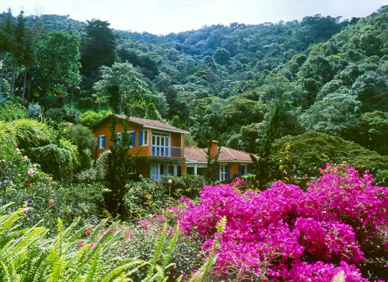 El Saladito, Valle del Cauca.  
Arquitectos scar Sternberg y Mich Carvajal. 
 Sylvia Patio