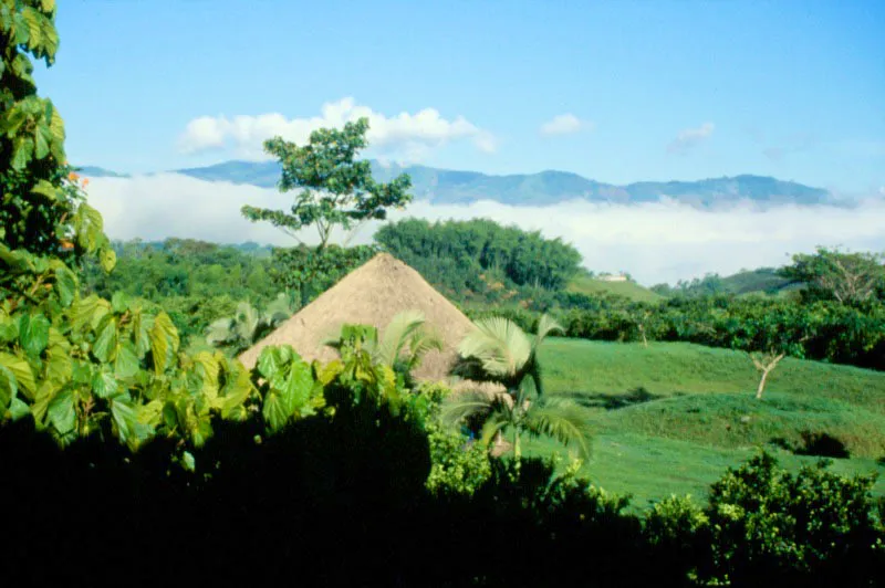 Quimbaya, Quindío, Arquitecta María Mercedes Mejía Barreneche. Antonio Castañeda Buraglia