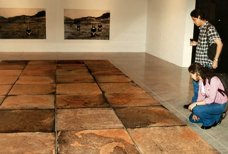 Exposición de artistas seleccionados para el XXXVIII.
Salón Nacional, febrero de 2002. En primer plano, Bandeja dorada, de Jorge Ortiz. Al fondo, Sin título, de la serie “Paisajes”, de Adriana María Duque.