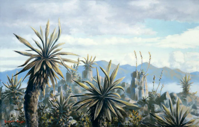 Gonzalo Ariza  / Frailejones / s. f. / leo sobre lienzo / 62 x 95 cm / Adquirida en 1999 