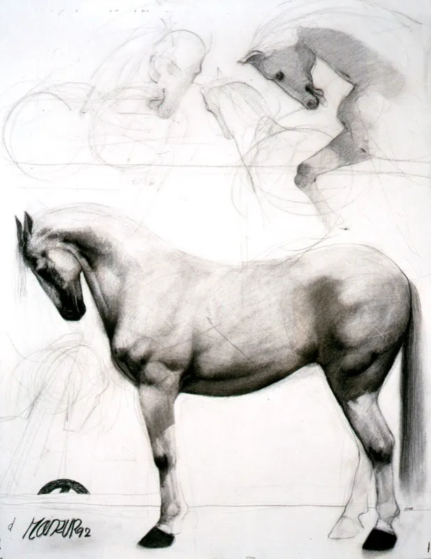 Estudio para caballos / 1992 / Carboncillo sobre papel / 65 x 50 cm / Colección particular