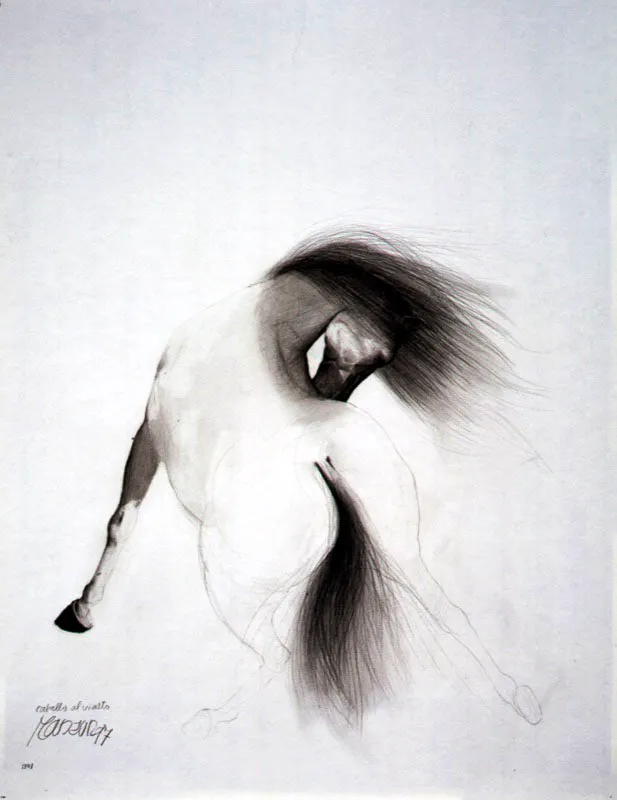 Caballo al viento / 1997 / Carboncillo sobre papel / 65 x 50 cm / Colección particular