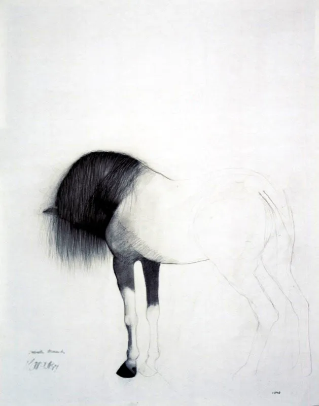 Caballo llorando / 1997 / Carboncillo sobre papel / 65 x 50 cm / Colección particular