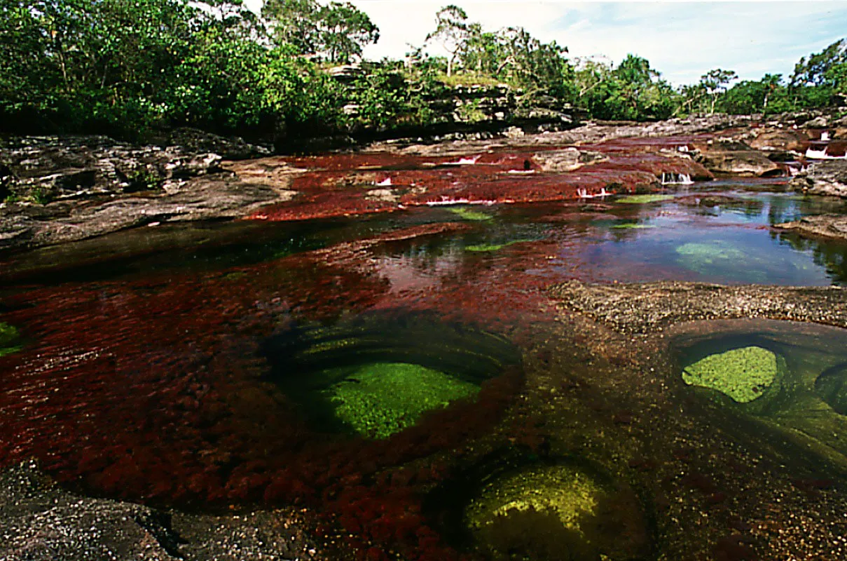 Cao Cristales. La Macarena, Meta. 