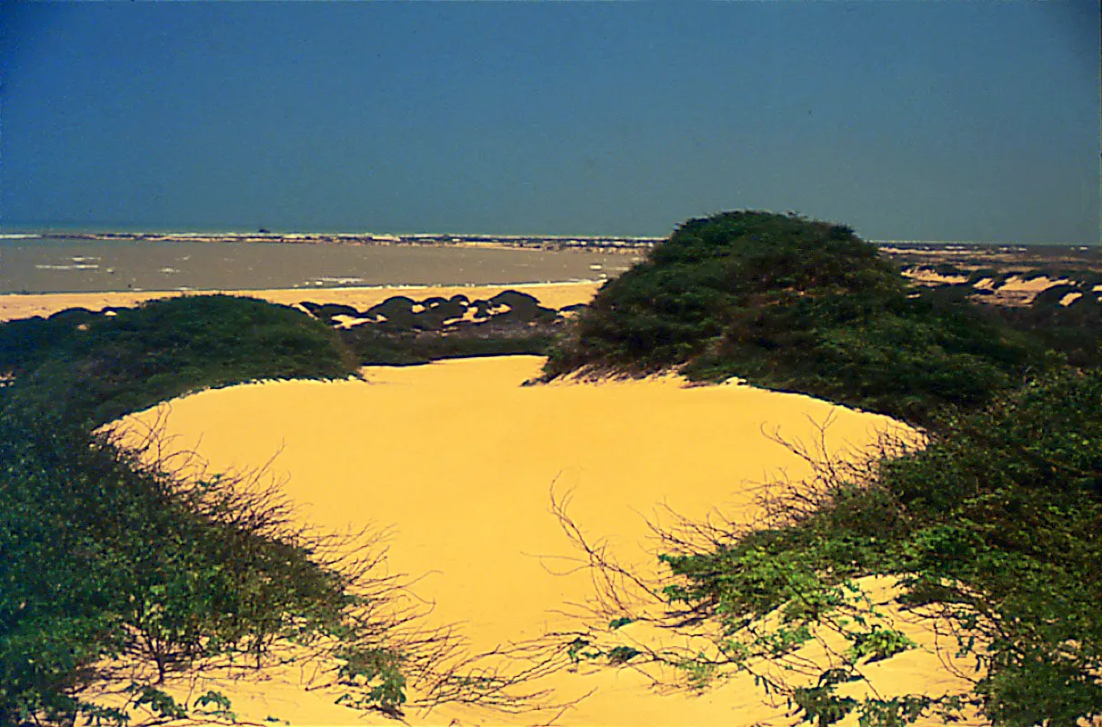 Laguna de los Patos. La Guajira.
 