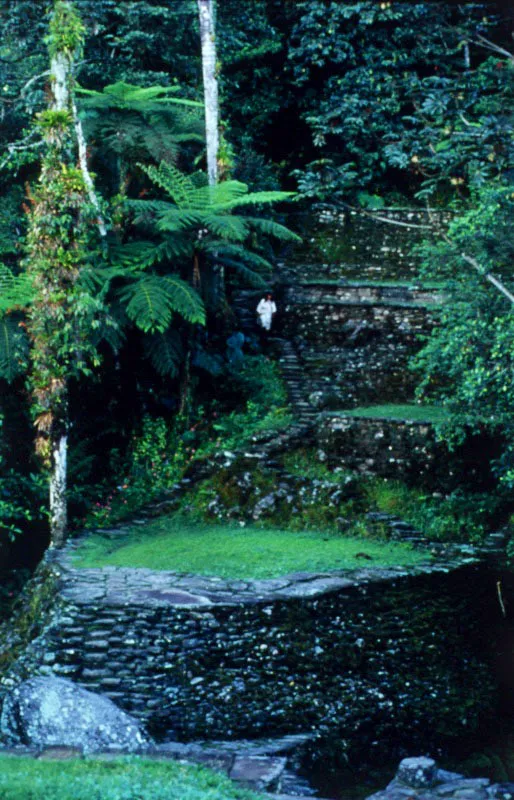 Terrazas precolombinas, Sierra Nevada de Santa Marta, Magdalena. 