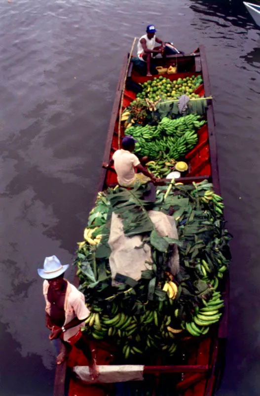 Mercados flotantes. Gapi, Cauca.
 