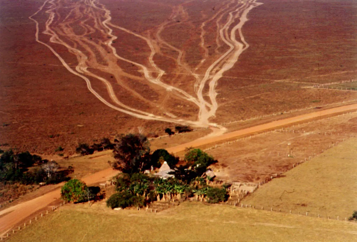  Llanos del Casanare. 