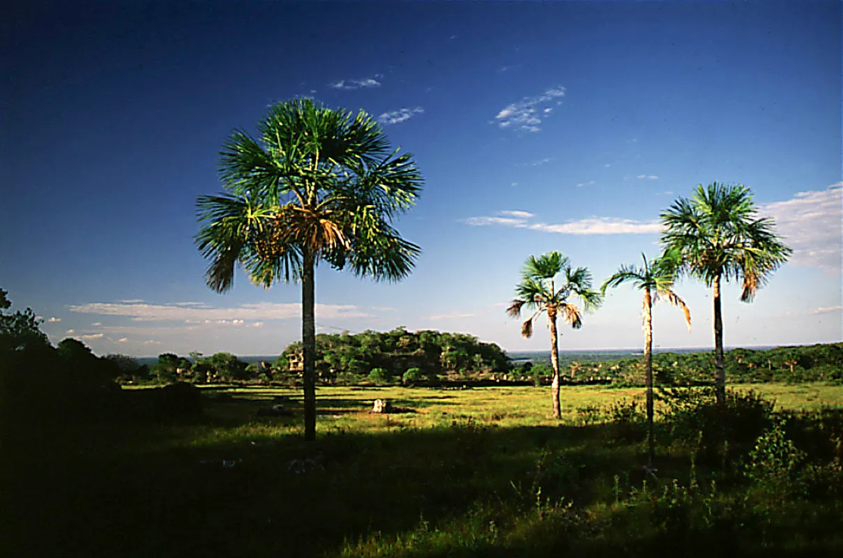 Puerto Carreo, Vichada. 