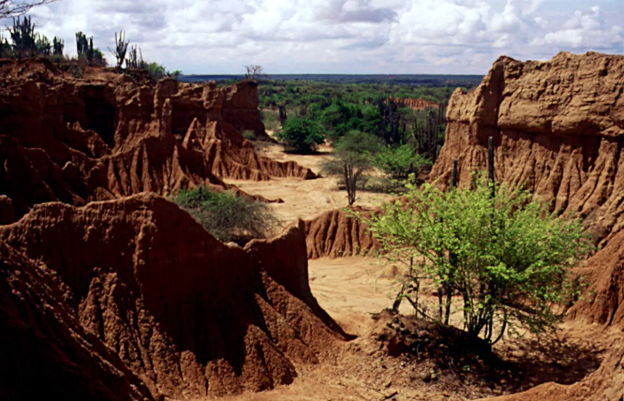 Desierto de la Tatacoa. Huila. 