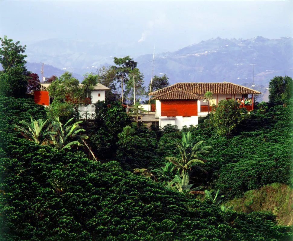 Finca cafetera. Caldas. 