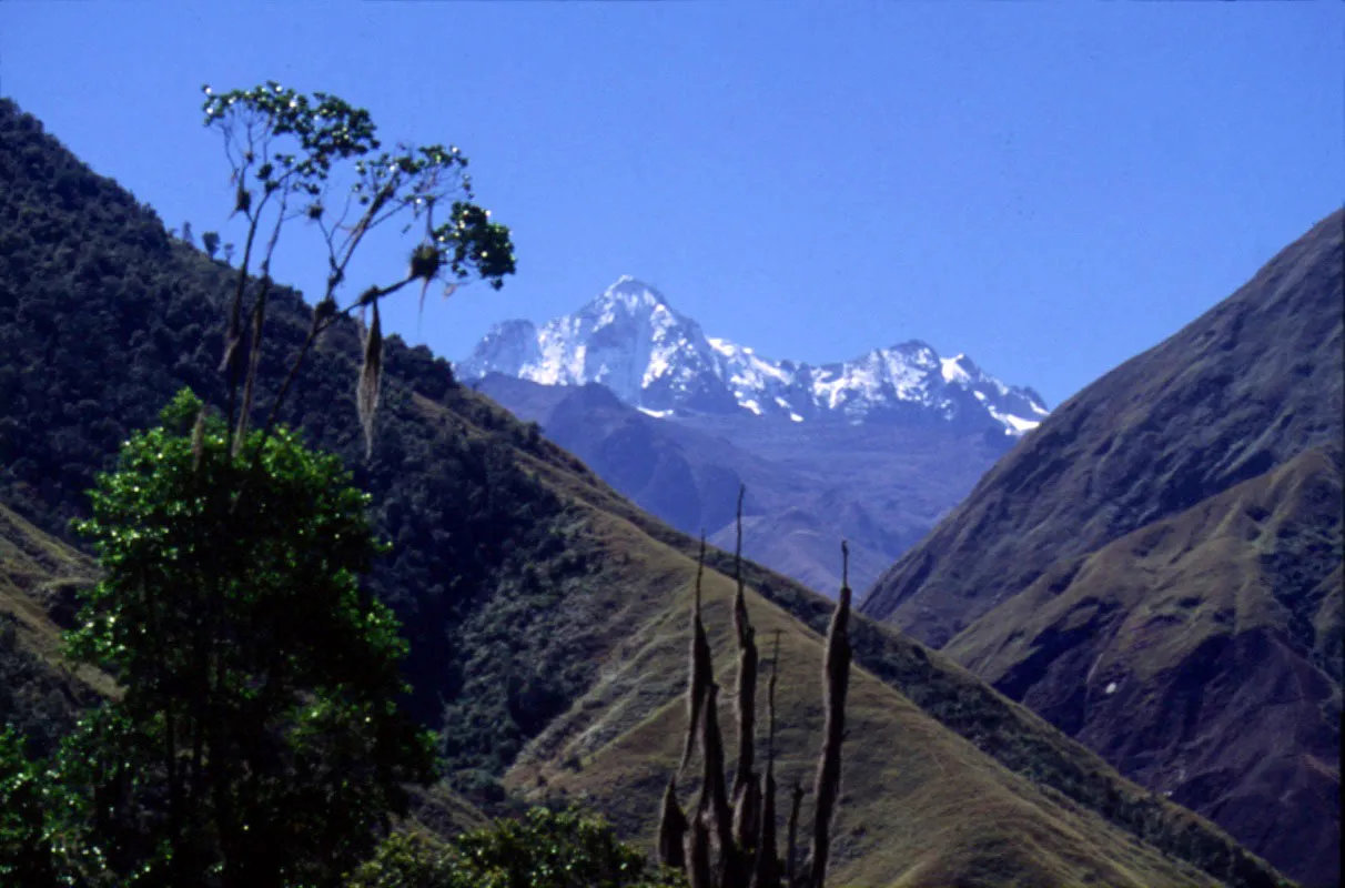 Sierra Nevada de Santa Marta, Magdalena. 