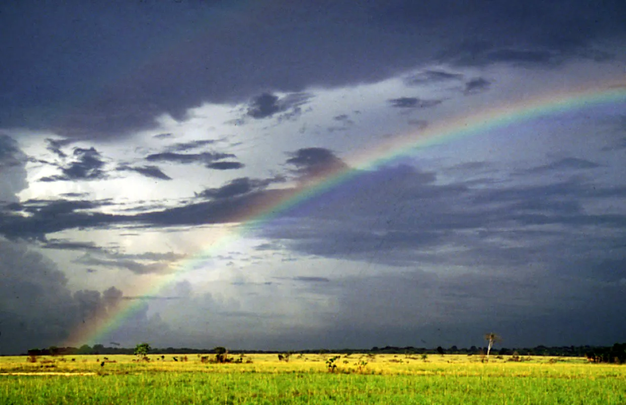 Llanos del Caparaparo.
 