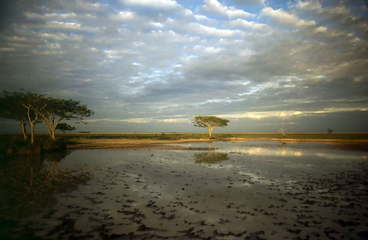 Llanos orientales.