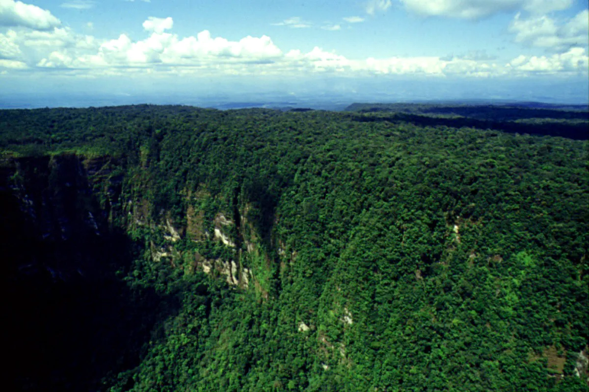 Parque Nacional Natural La Macarena. Meta.