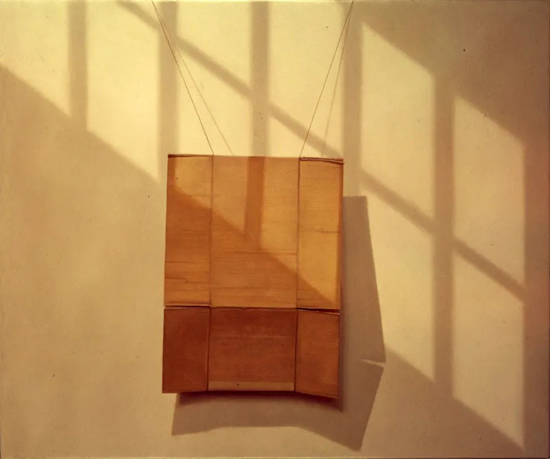 Cartón.
1976.
Óleo sobre lienzo.
153 x 183 cm.