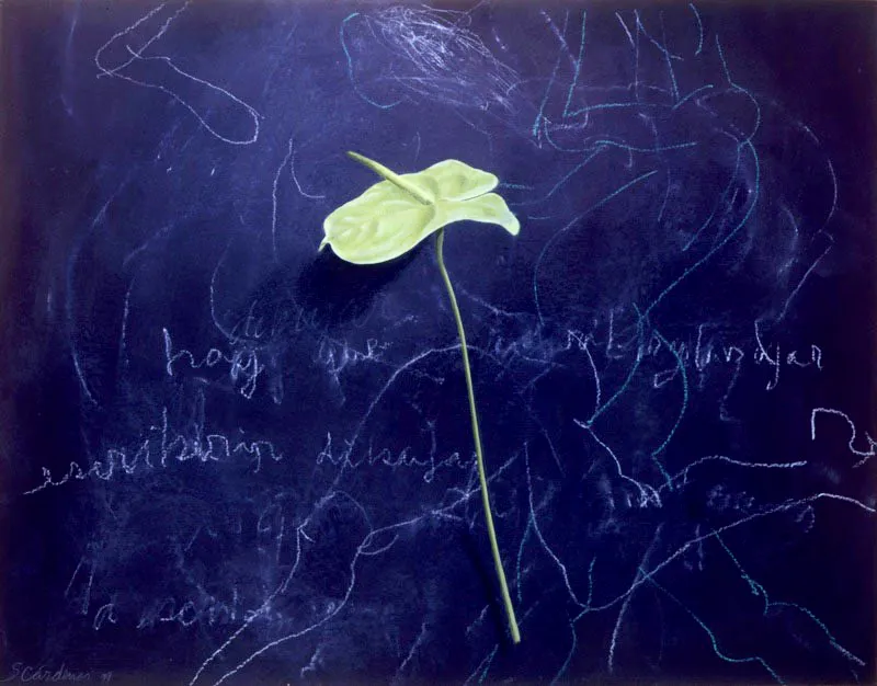 Anturio verde.
1999.
Dibujo, técnica mixta.
56,2 x 72 cm.