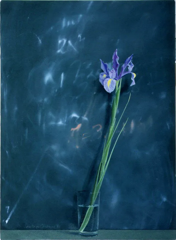 Iris.
1986.
Óleo sobre lino.
76 x 56 cm.