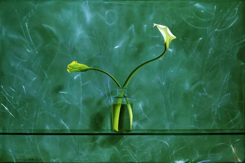Cartuchos amarillo y blanco.
1993.
Óleo sobre lienzo.
86 x 130 cm.