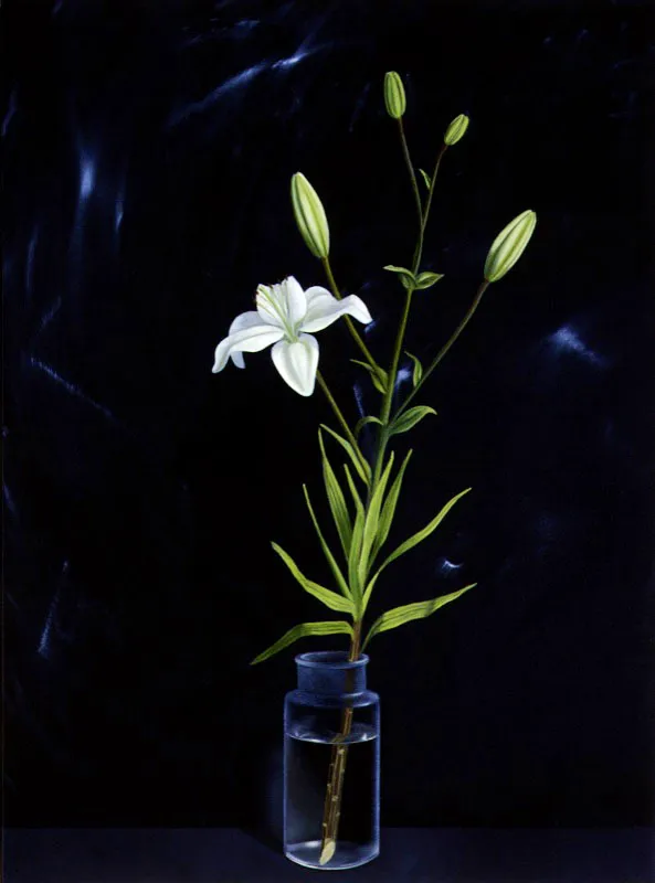 Lirio blanco.
2003.
Óleo sobre lienzo.
76 x 56 cm.