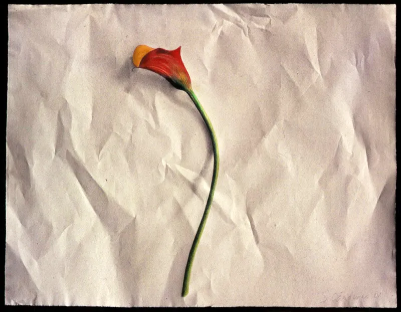 Papel arrugado con flor.
2001.
Lápices de colores sobre papel arrugado.
49 x 62,5 cm.