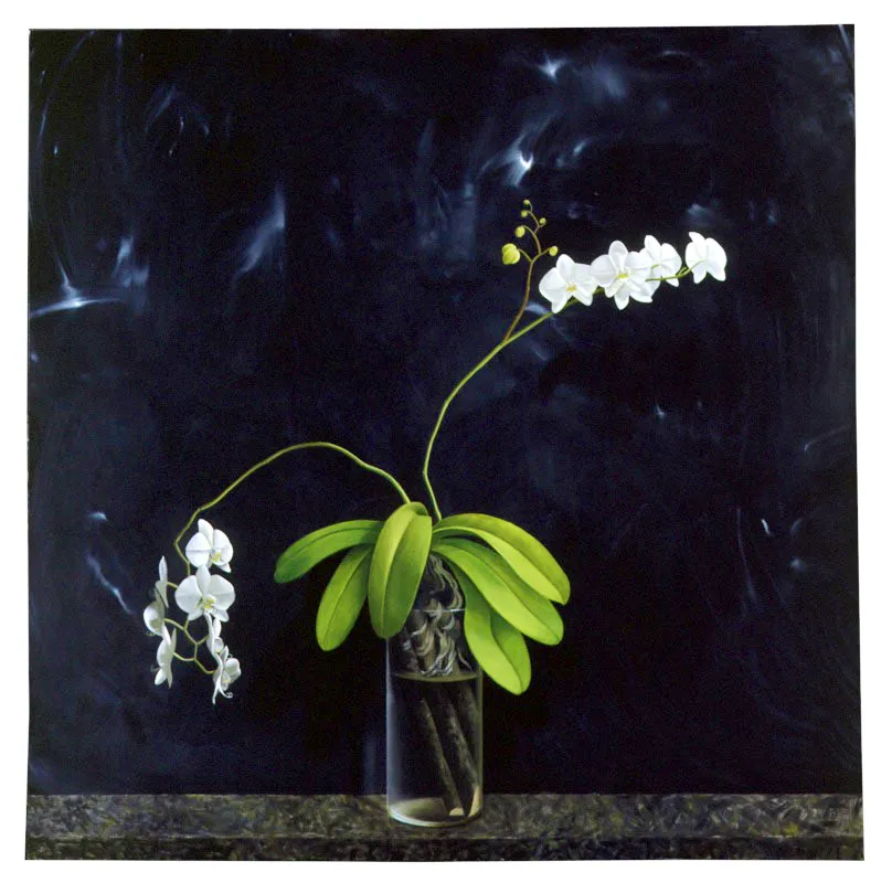 Falenopsis.
2003.
Óleo sobre lienzo.
130 x 130 cm.