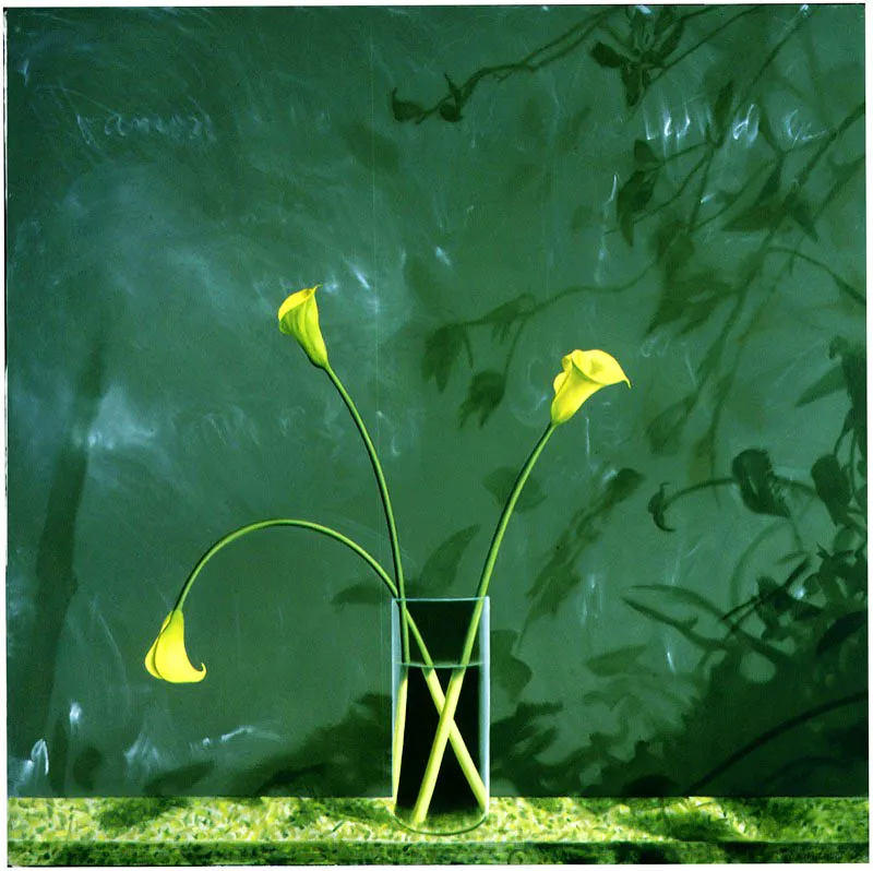 Tres cartuchos con sombras.
2005.
Óleo sobre lienzo.
148 x 148 cm.