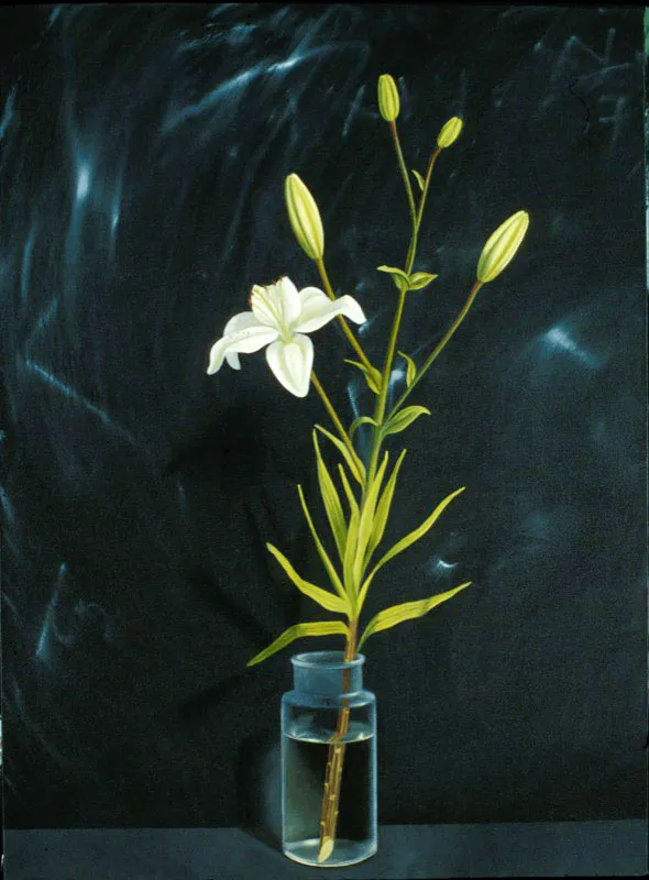 Lirio blanco.
2003.
Óleo sobre lienzo.
76 x 56 cm.