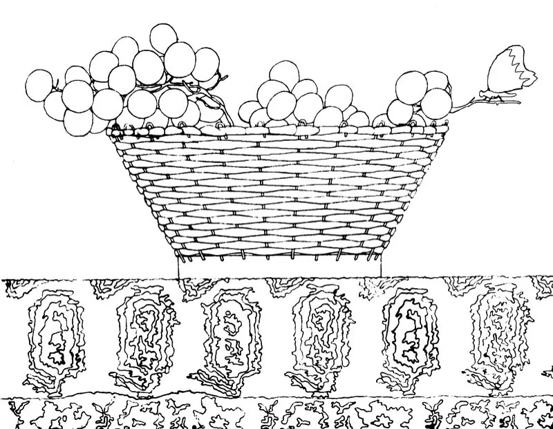 Cesta con uvas / Lpiz sobre papel 