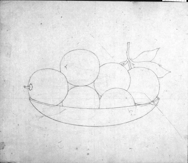 Plato con frutas / Lpiz sobre papel 