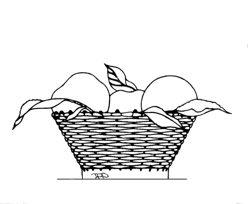 Cesta de duraznos / Lápiz sobre papel