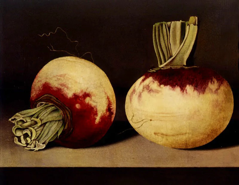 Rábanos y auyama (detalle) / 1979-1980 / Óleo sobre lienzo / 50 x 62 cm