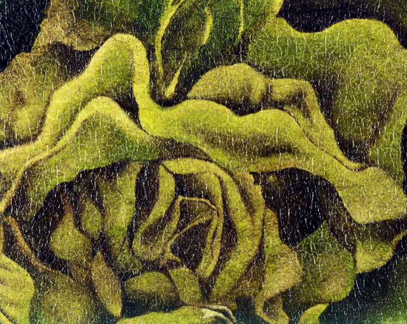 Lechuga (detalle)/ Óleo sobre lienzo / 29 x 39 cm