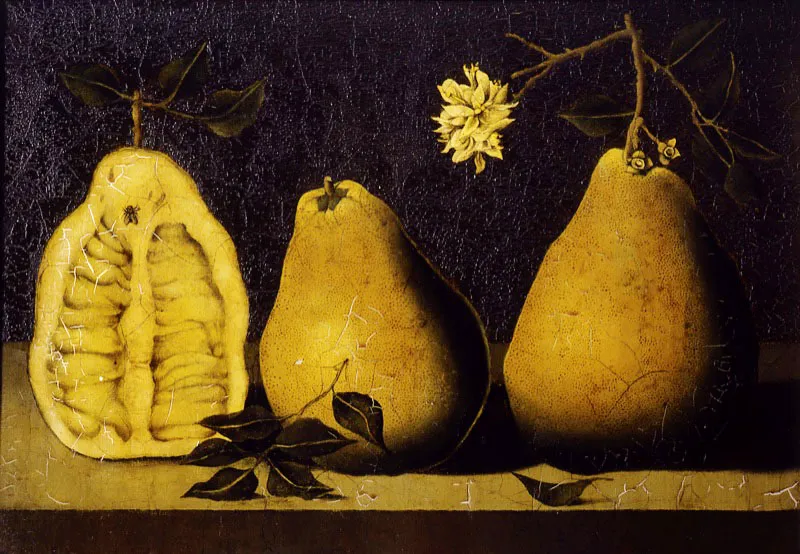 Frutas / Óleo sobre lienzo / 37 x 54 cm