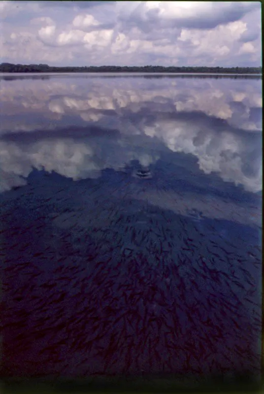 Laguna Lachuá, Alta Verapaz. Cristóbal von Rothkirch