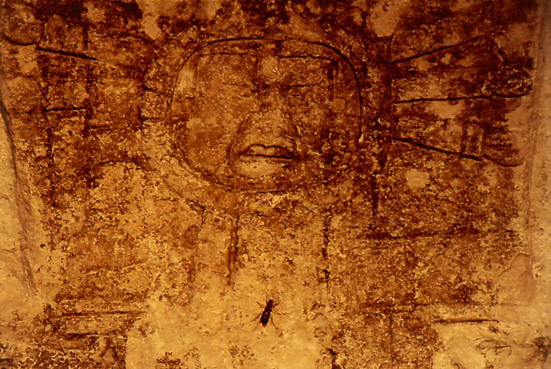El Ceibal, Petén. Cristóbal von Rothkirch