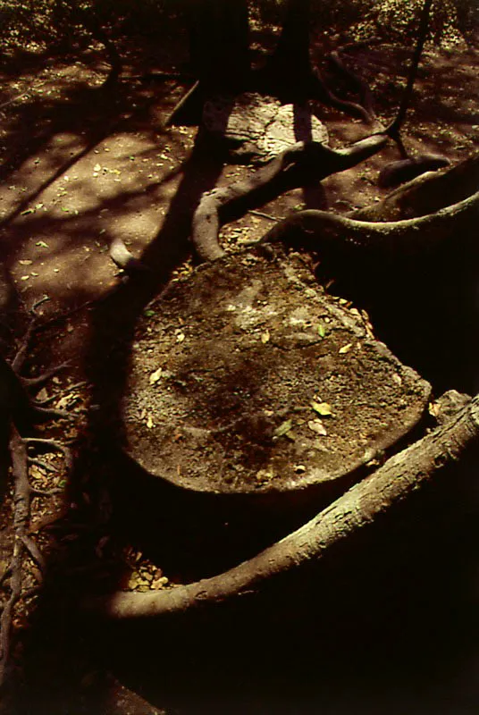 Tikal, Petén. Cristóbal von Rothkirch