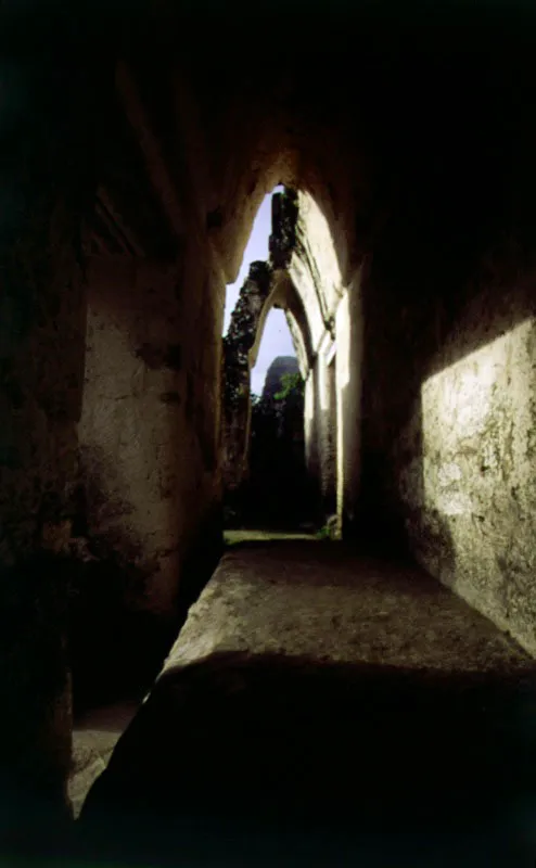 Tikal, Petén. Cristóbal von Rothkirch