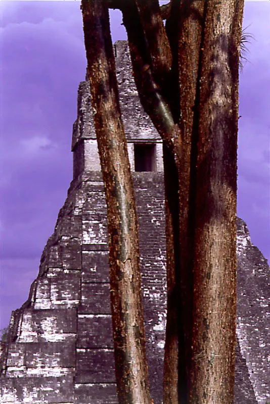 Tikal, Petn.  Cristbal von Rothkirch