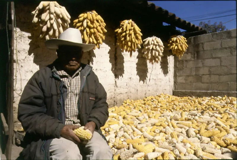 Delfino Ixmay San Vicente Buenabaj, Totonicapán. Cristóbal von Rothkirch
