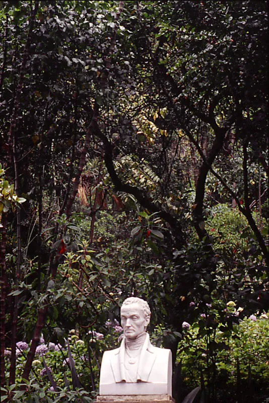 Cristóbal von Rothkirch