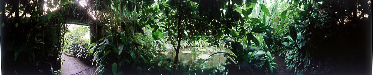 Invernadero tropical, selva amazónica. La temperatura y humedad propias de este ecosistema se logran gracias a un dosel cerrado y a cuerpos de agua con plantas flotantes. Cristóbal von Rothkirch
