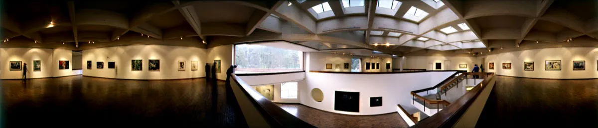La exposición “Tumbas” del pintor Juan Antonio Roda, que inauguró el museo en 1963, se mostró de nuevo en 2005 dentro de la muestra retrospectiva del artista. Cristóbal von Rothkirch