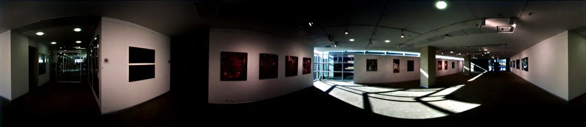 Sala de exposición, que forma parte de la red de salas de la Cámara de Comercio “Artecámara” y apoya a jóvenes talentos. Exposición de la artista Lorenza Panero. Cristóbal von Rothkirch